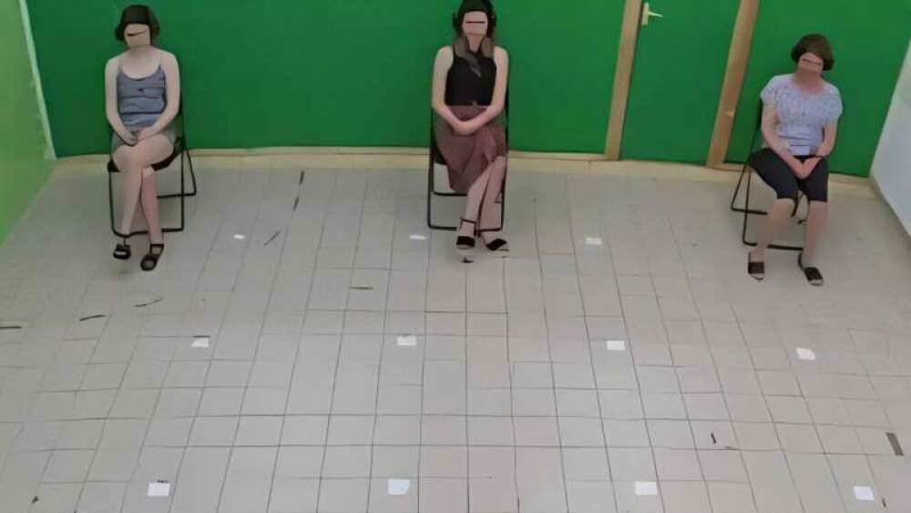 Cães conseguem reconhecer pessoas familiares apenas pela voz, aponta estudo - Rádio Itatiaia