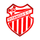 Pitangui-BH