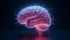 cerebro