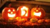 Abóboras são símbolos do Halloween nos EUA e em outros países