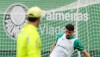 Piquerez voltará ao Palmeiras após cumprir suspensão