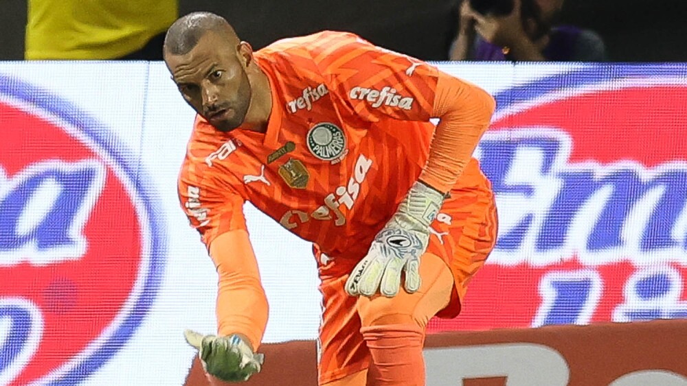 Weverton, do Palmeiras, x Botafogo 2024