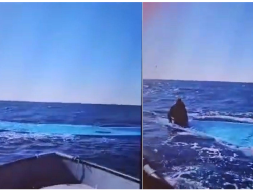 Barco com imigrantes naufraga no Mediterrâneo e deixa um sobrevivente, diz ONG