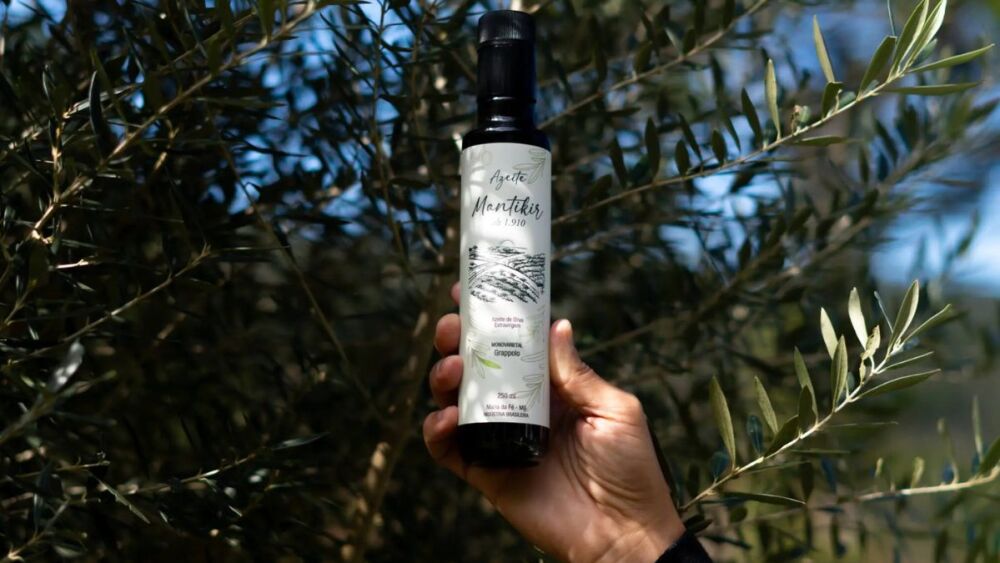 Azeite de Minas conquista ouro em Paris e é eleito o melhor do Brasil