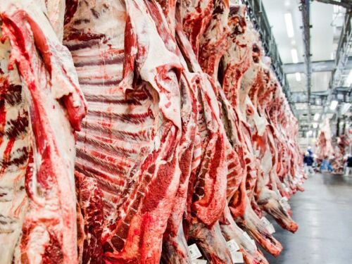 Brasil supera EUA e assume liderança mundial na produção de carne bovina em 2025