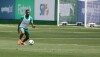 Allan está liberado para jogo entre Palmeiras e Cruzeiro