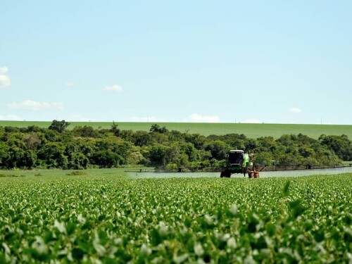 O PL define como ‘proibido’ o registro de pesticidas, de produtos de controle ambiental e afins que apresentem risco para os seres humanos