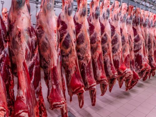 Acordo com UE deve elevar exportações de carne bovina brasileira em até 7%