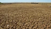 Efeitos da seca em Minas preocupam produtores rurais