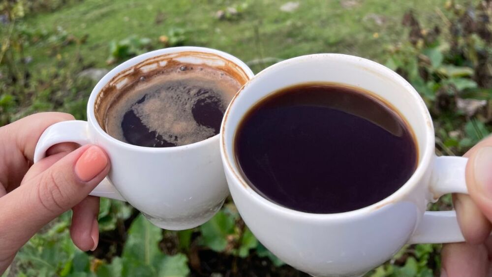 Quanto custa o café mais caro do mundo, produzido no Panamá e que chegou a Dubai