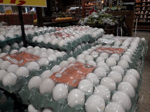 Exportações de ovos do Brasil crescem 71,9% e lucro dispara mais de 90% em agosto