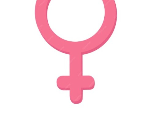 Mulheres independentes escolhem o próprio rumo