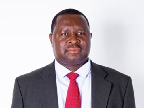 Adolf Hitler pode ser reeleito pela quinta vez nas eleições da Namíbia; entenda