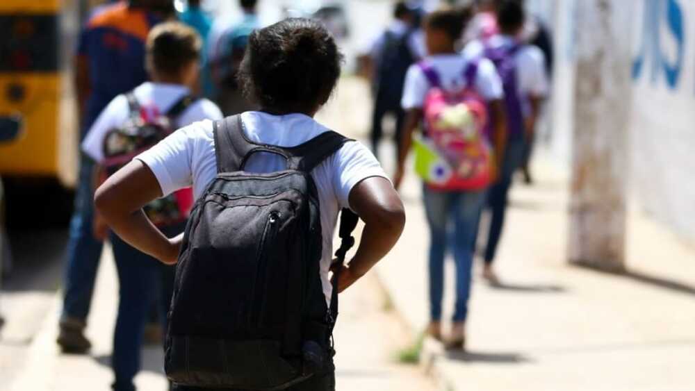 Cadastro Escolar 2023 para rede pública de Minas começa nesta quarta