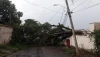 Árvore cai e bloqueia rua no Barreiro, em BH