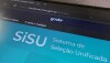 Sisu