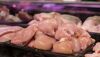 Após gripe aviária, exportações de carne de frango devem bater novo recorde em 2025