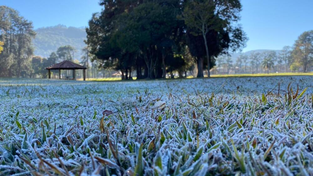 Registro de geada no Parque Municipal de Caldas (MG) em 2023