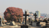 Cemitérios de Belo Horizonte terão celebrações religiosas no Dia de Finados