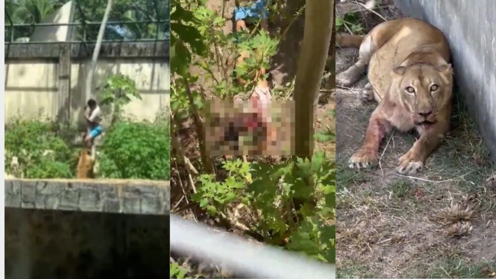 Após morte de homem, zoológico fica fechado por tempo indeterminado - Rádio Itatiaia