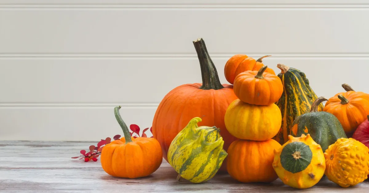 Abóbora: o ingrediente versátil que conquista a gastronomia brasileira