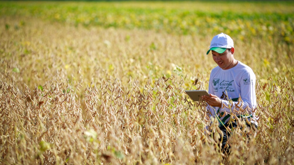 Especialista prevê cenário mais otimista para produtores de leite em 2024 5 Banco de Imagens - CNA 2.jpg