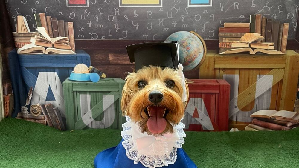 Cão Oswaldo formando