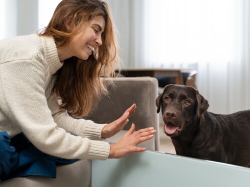 O que significa falar com animais de estimação como se fossem pessoas, segundo a psicologia?