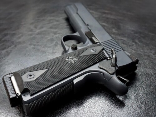 "Programa Minha Primeira Arma" é de autoria do deputado Marcos Pollon (PL-MS)