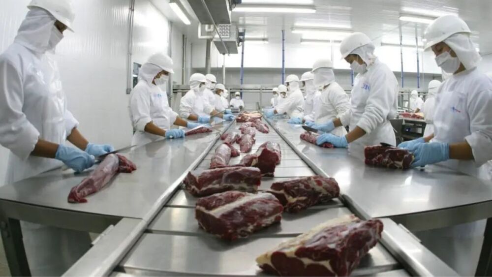 Picanha, sebo e até pênis: Brasil aproveita 100% do boi nas exportações