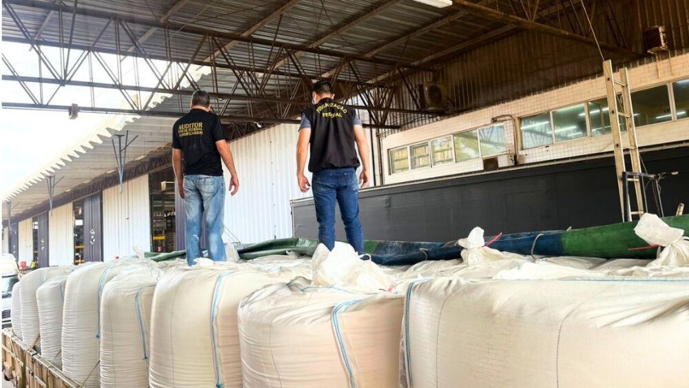 Carga de farinha de trigo com insetos e fezes de rato é apreendida no Paraná | CNN Brasil