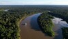 Dados reunidos no relatório apontam a necessidade e a urgência de zerar o desmatamento na região amazônica