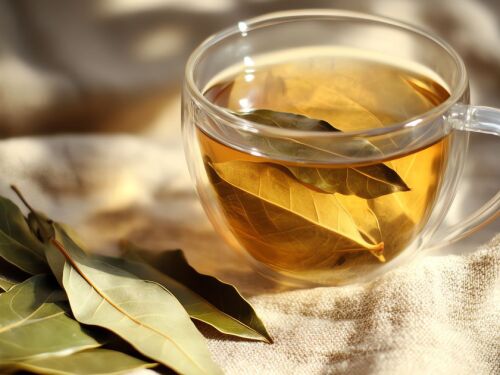 Chá de louro pode ajudar no emagrecimento