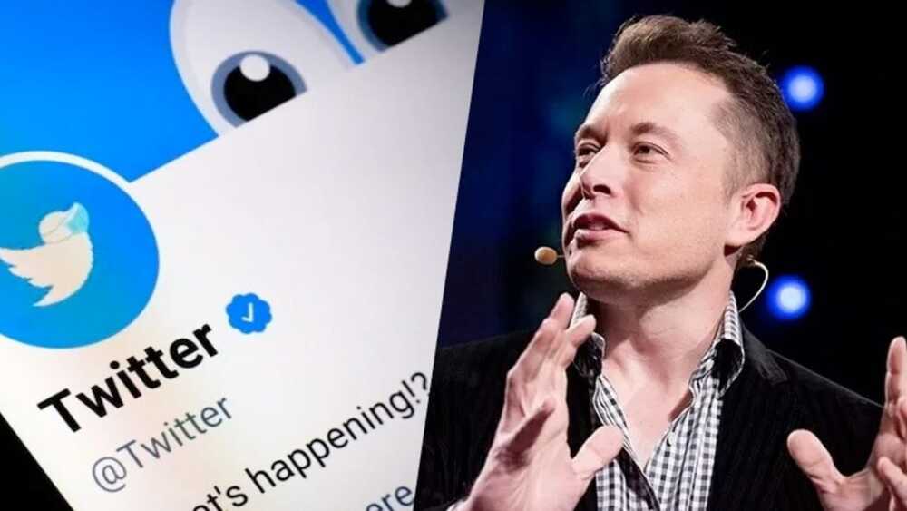 Twitter x Elon Musk: primeira audiência já está marcada