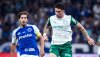 Jogadores de Palmeiras e Cruzeiro em duelo pelo Campeonato Brasileiro
