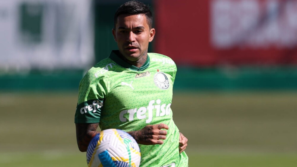 dudupalmeiras (1).jpg