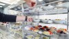 Alimentação e produtividade