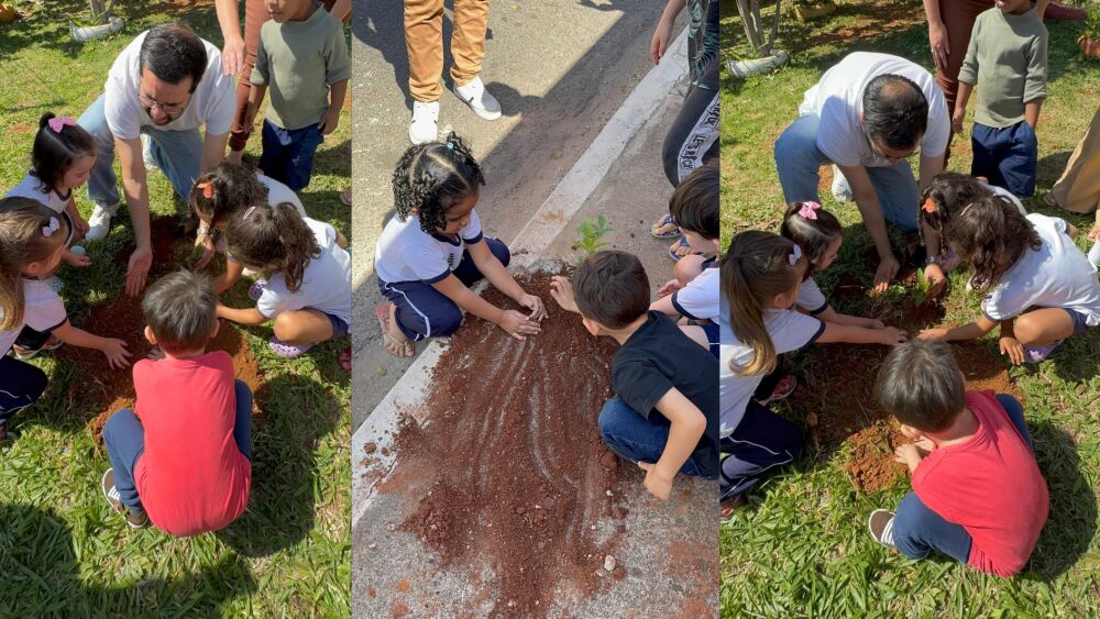 O projeto “Raízes do Futuro”, idealizado pelo vereador Raphael Rios, combina leitura infantil com plantio de árvores e formação de consciência ambiental desde a infância