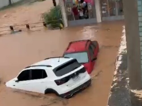 MG registra 12 casos de leptospirose por mês; sete mortes já foram confirmadas