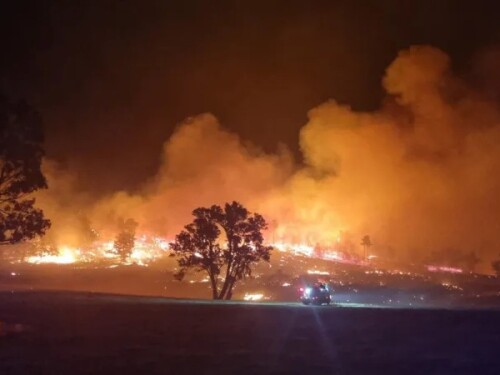 Calor de 45°C leva estado da Austrália a decretar alerta máximo para incêndios