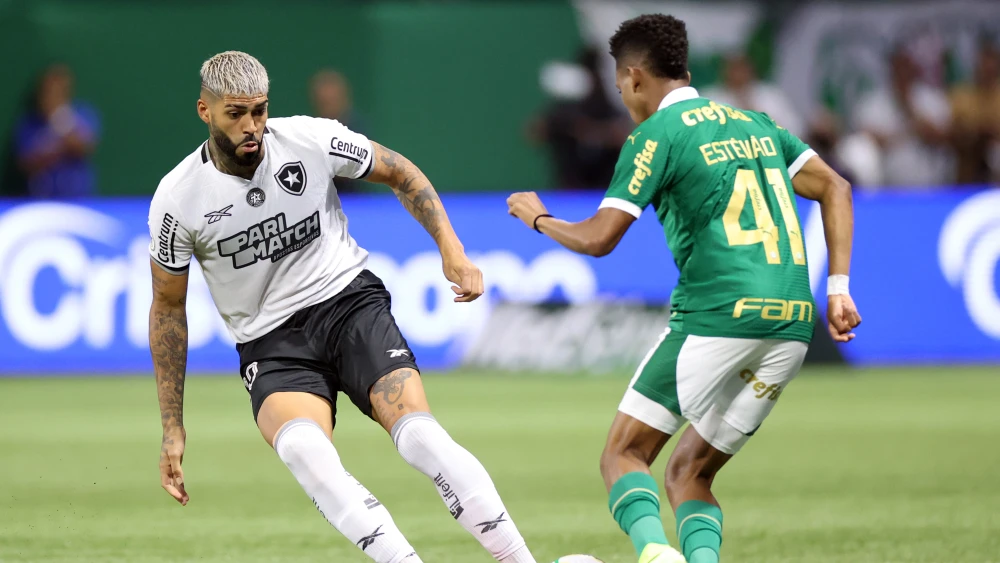 Botafogo vence Palmeiras e retoma liderança do Brasileirão em jogo decisivo Botafogo vence Palmeiras e retoma liderança do Brasileirão em jogo decisivo