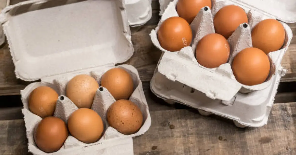 Impressão Inovadora: O Futuro da Indústria de Ovos Impressão Inovadora: O Futuro da Indústria de Ovos