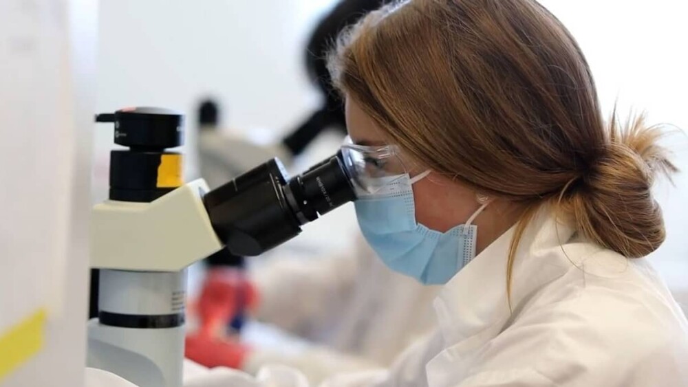 O vírus de Marburg é transmitido aos humanos por morcegos frugívoros