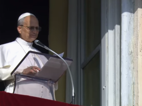 Papa Leão XIV cita Belo Horizonte em saudação a fiéis no Vaticano; veja