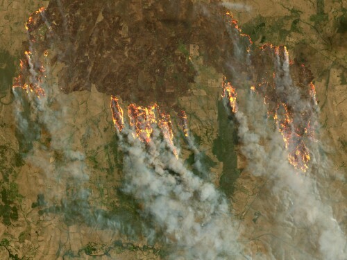 Calor, seca e ventos: o que está por trás dos grandes incêndios na Austrália