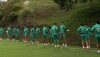 Palmeiras