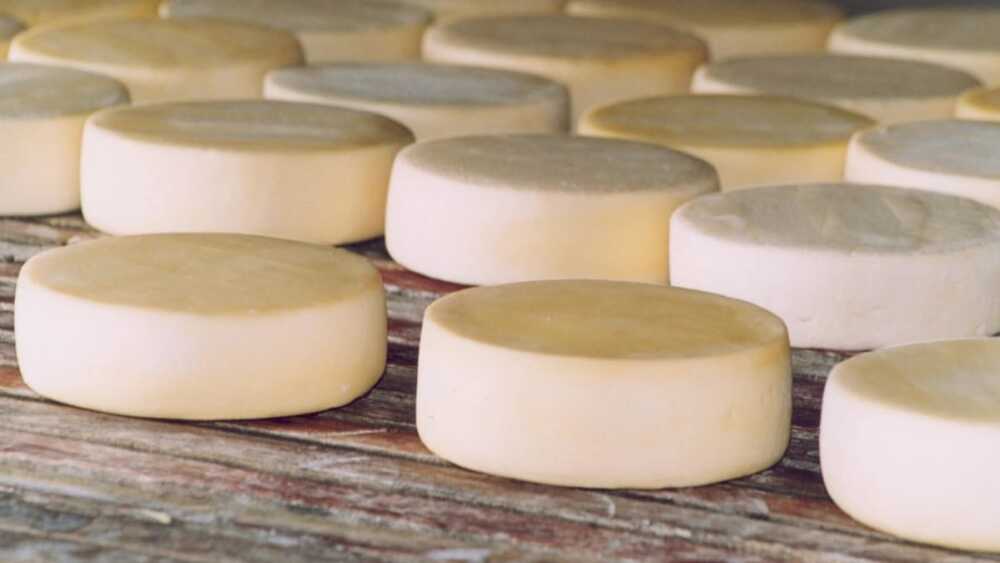 Queijo Minas