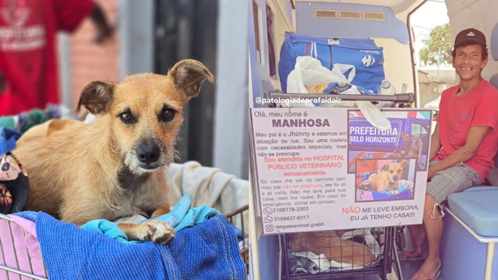 Morador de rua agradece após ganhar carrinho para cuidar de cadela que não anda