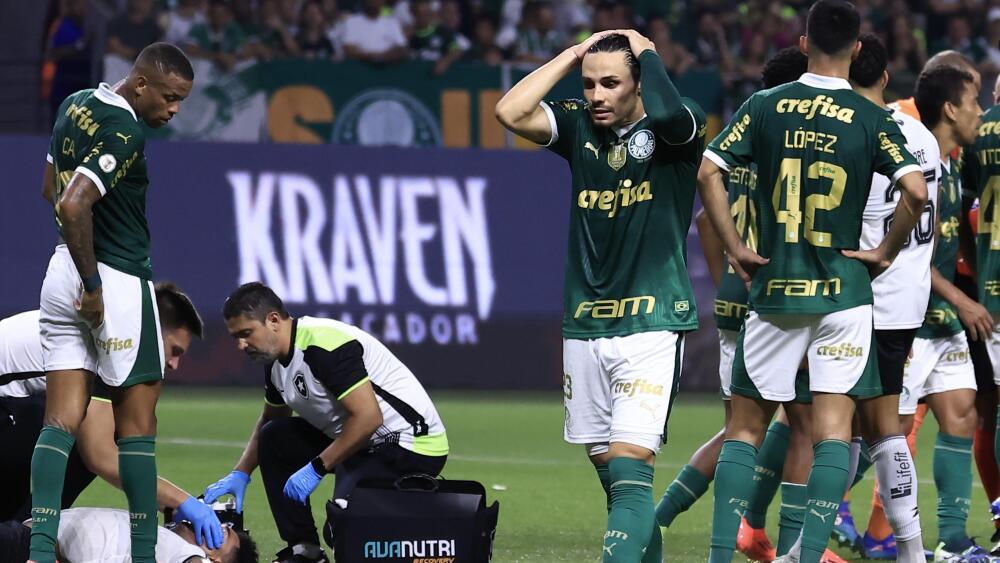 Palmeiras x Botafogo 2024 lamentação
