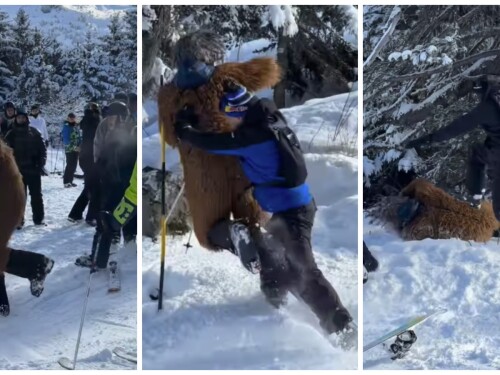 Brasileiro vestido de Chewbacca é espancado em estação de esqui na França